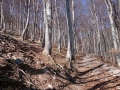 DSC_3859 (Kopiraj)