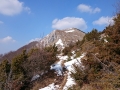 DSC_3878 (Kopiraj)