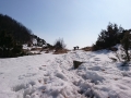 DSC_3879 (Kopiraj)