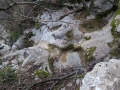 DSC_3896 (Kopiraj)